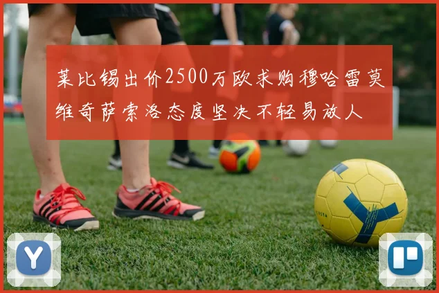 莱比锡出价2500万欧求购穆哈雷莫维奇萨索洛态度坚决不轻易放人
